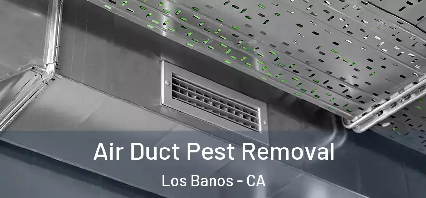  Air Duct Pest Removal Los Banos - CA