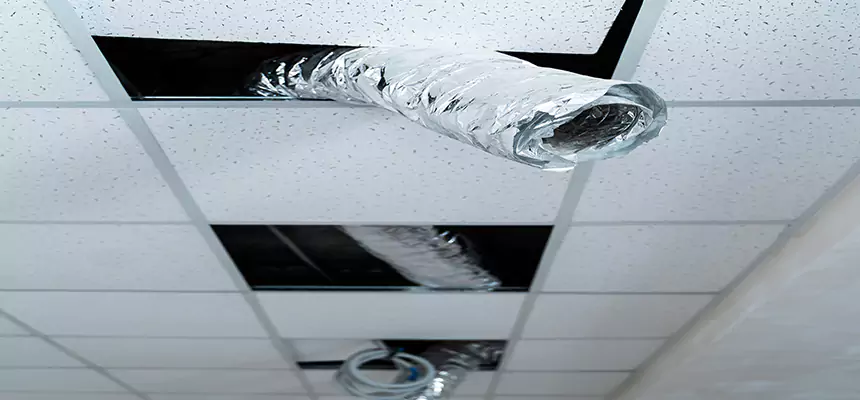 Affordable HVAC Sanitizing After Pest Removal in Los Banos