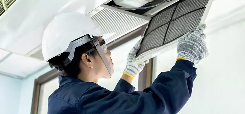 Our Mold & Mildew Removal from Air Ducts Services in Los Banos, CA