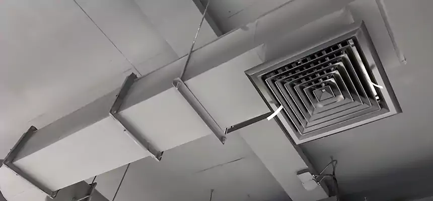 Our Pest Removal From Ducts Services in Los Banos, CA