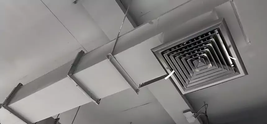 Our Rodent Droppings In Vents Services in Los Banos, CA