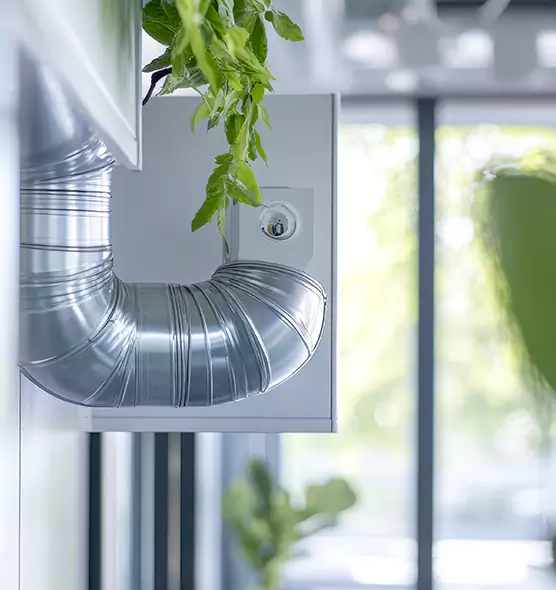 Professional Eco-Friendly Duct Cleaning Services in Los Banos, CA