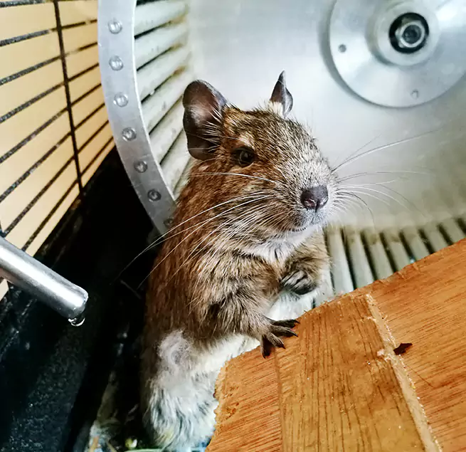 Why Homeowners & Businesses Trust Us Los Banos, CA?