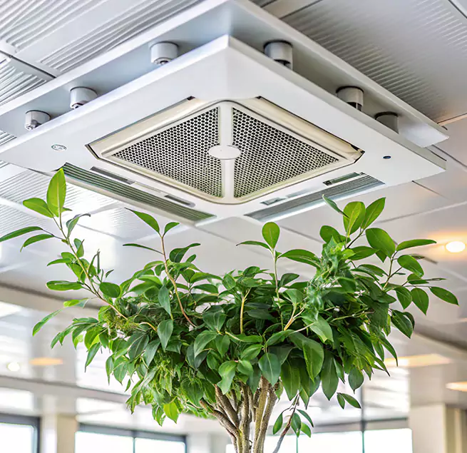 Why Homeowners & Businesses Trust Us in Los Banos, CA?