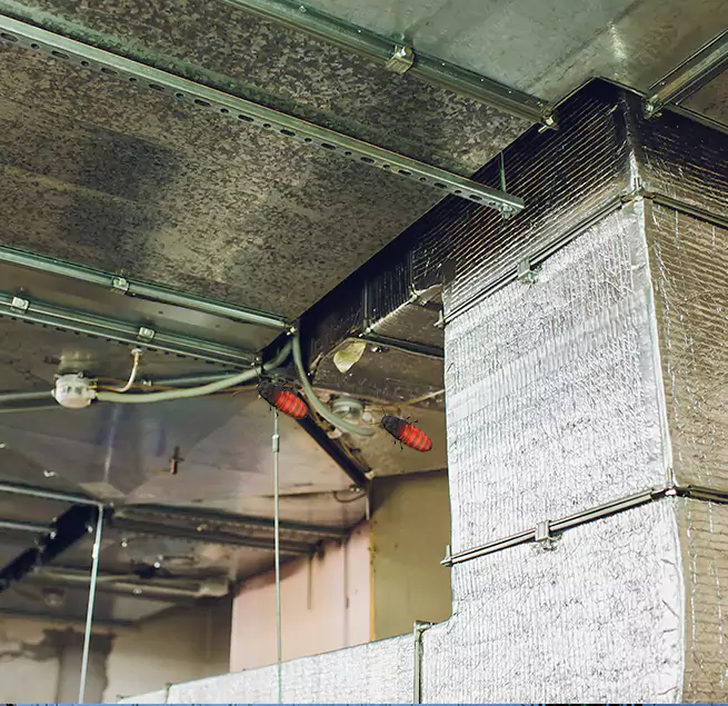 Why Homeowners & Businesses Trust Us Los Banos, CA?